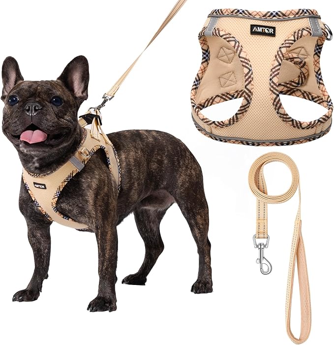 AMTOR Small Dog Harness with Leash Set, No Escape Easy Walk Puppy Harnesses for Training Walking, Step-in Reflective Soft Dogs Vest for XS S Medium Extra-Small Large Sized Dog(Beige,M) AMTOR