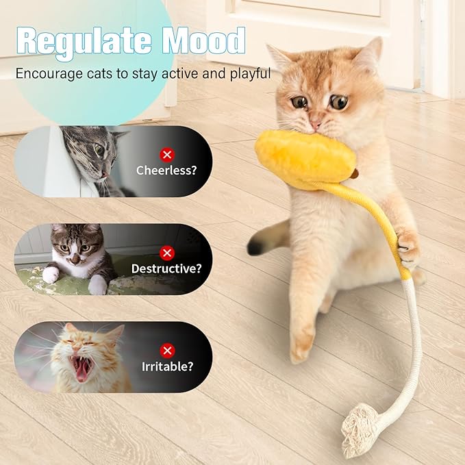 Sisal Rope Cat Toys,Safe Catnip Toys Without Wire,3 Pack Cat Toys for Bored Indoor Cats,Dental Kitty Chew Toys with Silvervine Gall Fruit,Bite-Resistant Teeth Clean Chew Cat Toy All Breeds - PAWPICO
