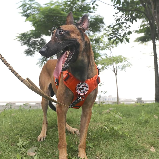 ICEFANG Tactical Dog Harness,X-Large Size, 2X Metal Buckle,Working Dog MOLLE Vest with Handle,No Pulling Front Leash Clip,Hook and Loop Panel ICEFANGDIRECT