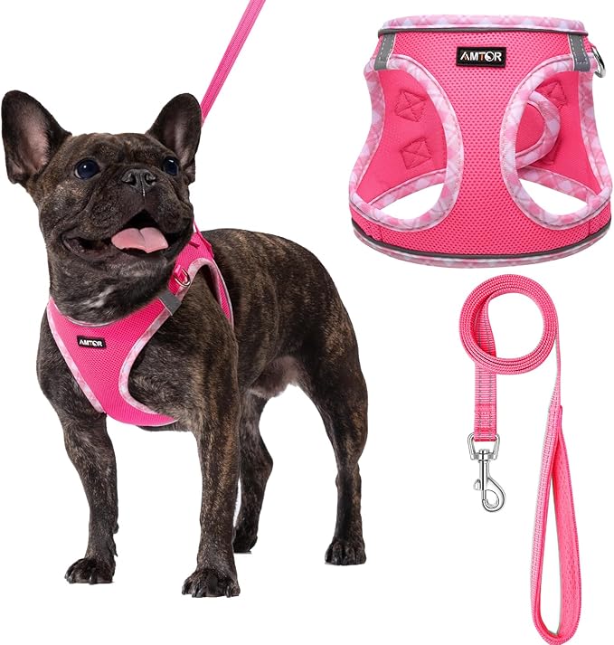 AMTOR Small Dog Harness with Leash Set, No Escape Easy Walk Puppy Harnesses for Training Walking, Step-in Reflective Soft Dogs Vest for XS S Medium Extra-Small Large Sized Dog(Fuchsia,XXS) AMTOR