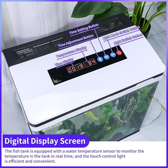 6 Gallon Glass Aquarium Fish Tank Starter Kit with Temperature and Time Display for Betta Fish Featuring Crystal Clear 360° Viewing, Eco-Cycle Filtration, Air Pump Bluecoco