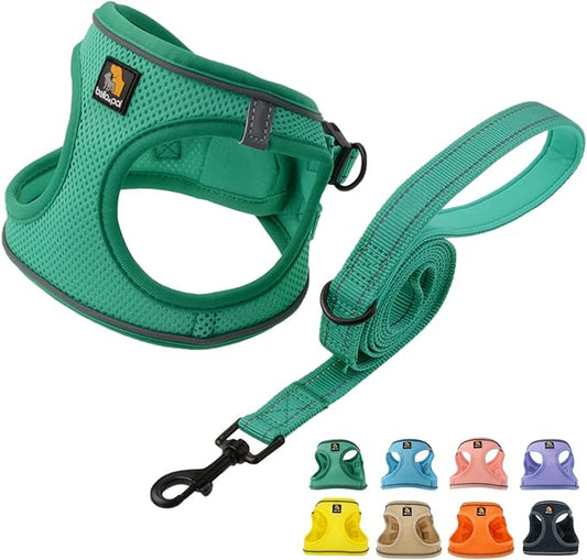 BELLA & PAL Puppy Harness with Leash Set, Dog Harness for Small Dogs No Pull, Dog Leash for Small Dogs, Step in Harness for Extra Small Dogs, Green Harness, L BELLAPAL