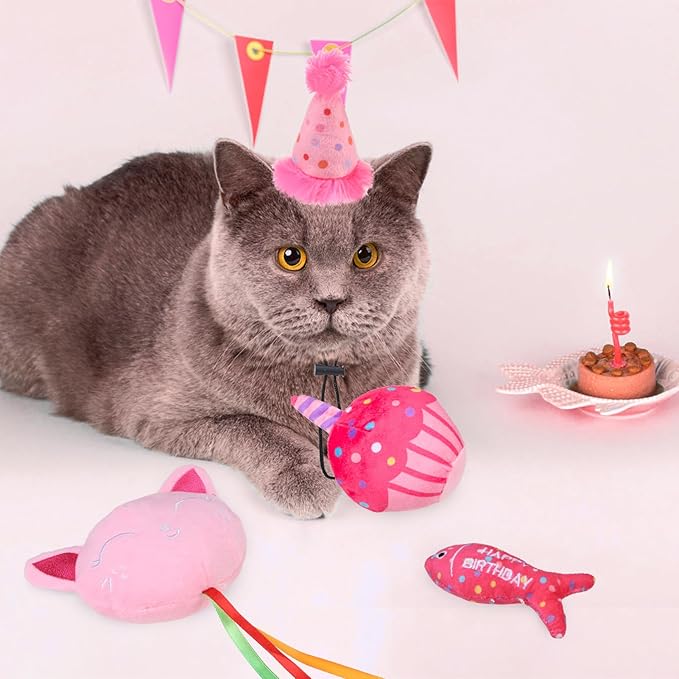 BINGPET Catnip Toys for Indoor Cats, Cat Birthday Hat and Interactive Plush Kitten Chew Toys - Cute Cake, Fish, Balloon Toys with Crinkle Paper and Catnip Inside Pink - PAWPICO