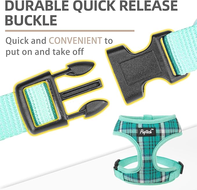 PUPTECK Soft Mesh Dog Harness and Leash Set Pet Puppy Cat Comfort Padded Vest No Pull Harnesses, Green, XS PUPTECK