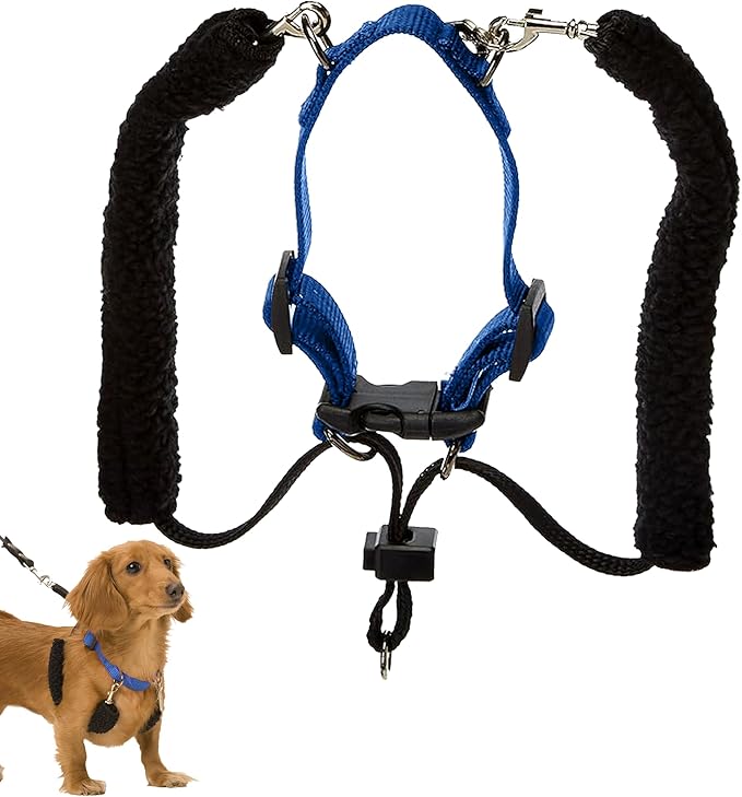 Sporn Original Training Halter, Small Dog Harness No Pull with Blue Padded Sherpa Sleeves, Breathable No Pull Dog Harness for Small Dogs, Provides to All Small Sized & Toy Breeds Sporn