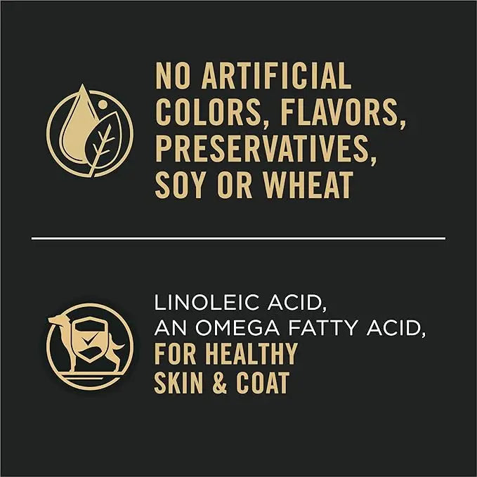 Purina Pro Plan Sensitive Skin and Stomach Wet Dog Food Pate Lamb and Oat Meal Entree - (Pack of 12) 13 oz. Cans - PAWPICO