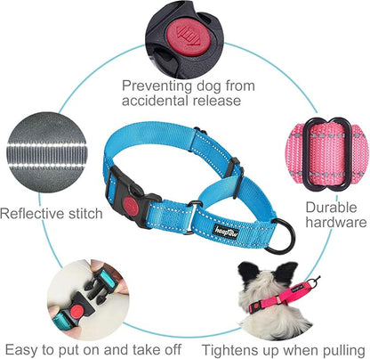 haapaw 2 Packs Martingale Dog Collar with Quick Release Buckle Reflective Dog Training Collars for Small Medium Large Dogs haapaw