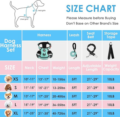 NESTROAD No Pull Dog Harness,Adjustable Oxford Dog Vest Harness with Leash,Reflective No-Choke Pet Harness with Easy Control Soft Handle for Small Dogs(Small,Turquoise) NESTROAD