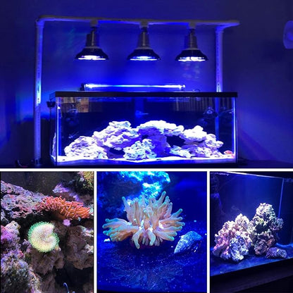 KINGBO LED Aquarium Plant Light Bulb, 18W Refugium Light Aquarium Plant Lights Fish Tank Bulb with 6 Band Full Spectrum for Coral Reef Saltwater Tank Plants Growth GarpsenLEDPlantGrowLights