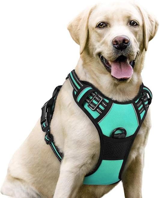 rabbitgoo Dog Harness No Pull with 2 Leash Clips, Adjustable Soft Padded, Reflective Oxford No Choke Pet Vest with Easy Control Handle for Large Dogs, Turquoise, L rabbitgoo