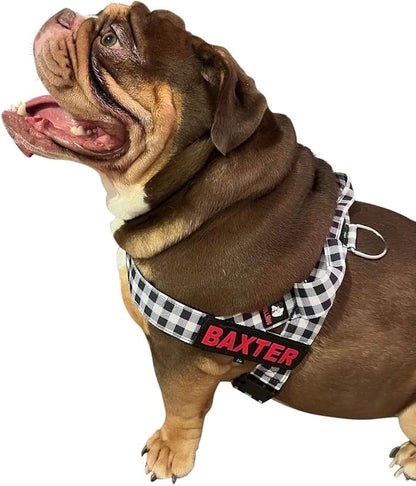 BULLHUG Harness – Made for Larger Chested Dogs Like English Bulldogs, French Bulldogs, Pugs & More. Stops Dogs from Pulling & Choking on Walks (BW Buffalo, Medium) BULLHUG