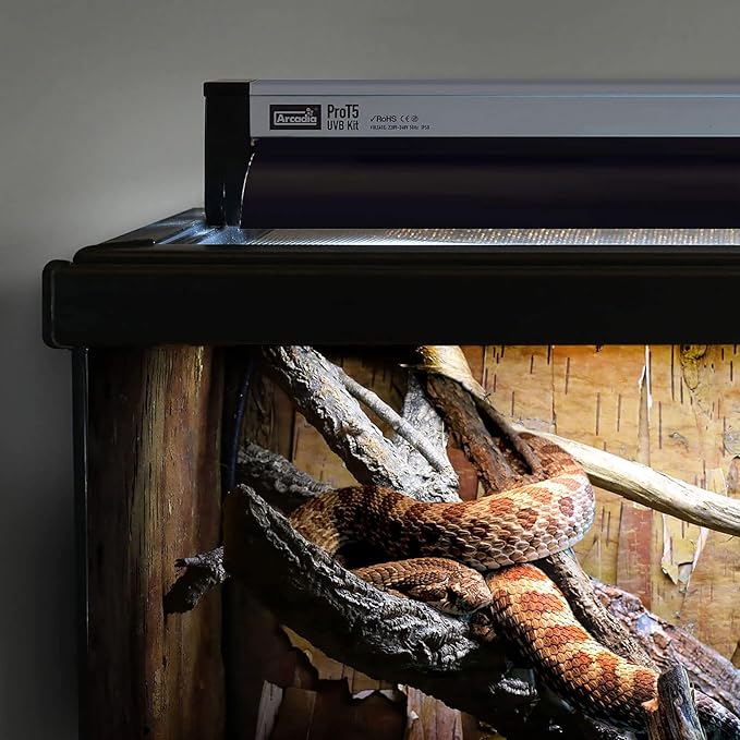 Arcadia Pro T5 UVB Lighting Kit - 39W - Dragon PAWPICO