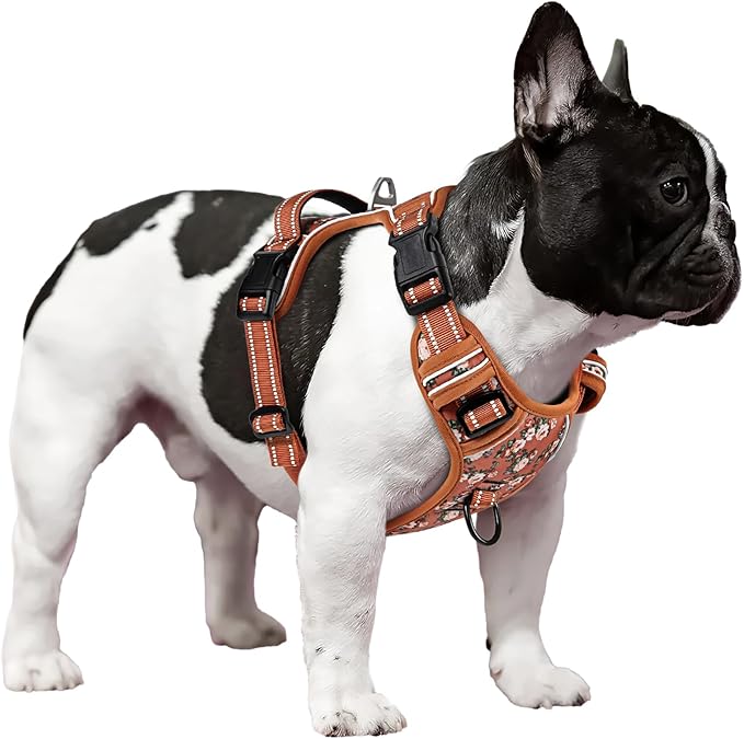 Timos Dog Harness, No Pull Dog Harness 3 Snap Buckles Adjustable Reflective No Choke Pet Vest for Small Dog with Soft Padded Control Training Handle for Outdoor Training,Flower Orange, XS Timos