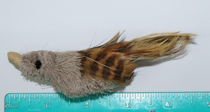 House Finch Bird Refill/Attachment- Fits Wildcat and Popular Bird and Mouse Type Wands/Poles - PAWPICO