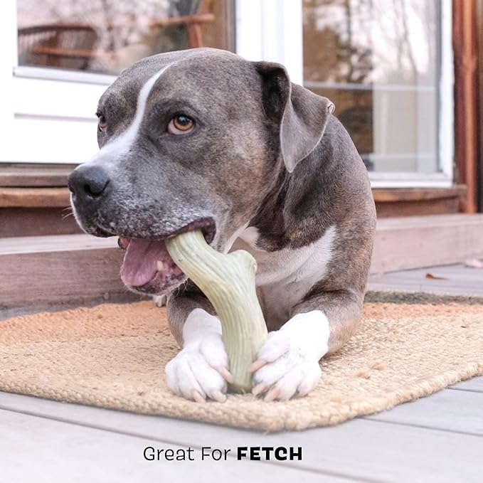 Barkbox Super Chewer Tough Dog Chew Toys for Aggressive Chewers, Dental Stimulating (Antler - Large) - PAWPICO