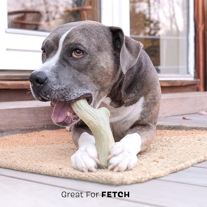 Barkbox Super Chewer Tough Dog Chew Toys for Aggressive Chewers, Dental Stimulating (Antler - Large) - PAWPICO