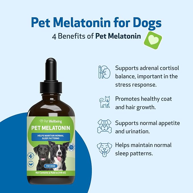 Pet Wellbeing Pet Melatonin for Dogs - Supports Adrenal Health, Cortisol Balance, Helps Maintain Normal Sleep Patterns - Veterinarian-Formulated Liquid Supplement 4 fl oz (118 ml) PetWellbeing