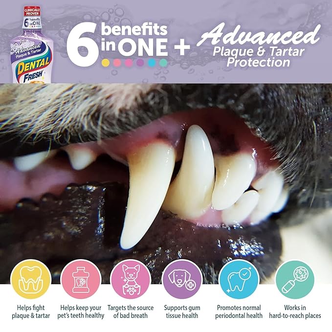 Dental Fresh Advanced Plaque and Tartar Water Additive, 8oz – Dog Teeth Cleaning Formula to Freshen Breath and Improve Overall Oral Health DentalFresh