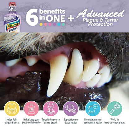 Dental Fresh Advanced Plaque and Tartar Water Additive, 8oz – Dog Teeth Cleaning Formula to Freshen Breath and Improve Overall Oral Health DentalFresh