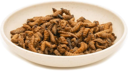 6 Pack Canned Black Soldier Fly Larvae for Reptiles, Fish, Birds and Small Animals, BSF, Healthy High Protein Treat, Reptile Bird Fish Food 1.2 Ounces Each Jadingfarm