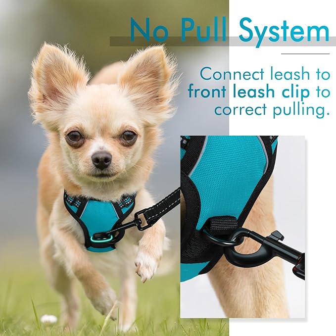 rabbitgoo Dog Harness, No-Pull Pet Harness with 2 Leash Clips, Adjustable Soft Padded Dog Vest, Reflective No-Choke Pet Oxford Vest with Easy Control Handle for Large Dogs, Teal, X-Small - PAWPICO