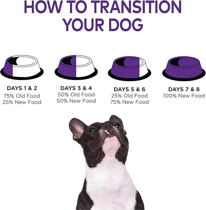 Wellness Complete Health Dry Dog Food with Grains, Natural Ingredients, Made in USA with Real Meat, All Breeds, For Adult Dogs (Healthy Weight - Chicken & Potatoes, 26-Pound Bag) - PAWPICO