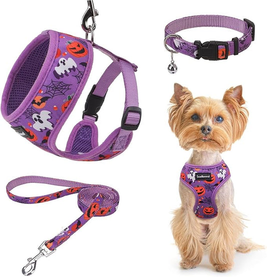SCENEREAL Small Dog Harness Collar and Leash Set, Adjustable No Pull Pet Harnesses, No Chock Soft Mesh Step in Vest Halloween Costume for Doggie Puppy Dogs Cats Girl Boy Outdoor Walking SCENEREAL