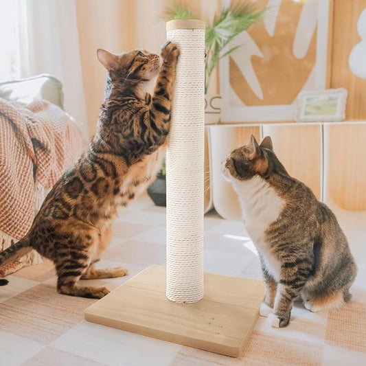 Necoichi 23.6” Tall Cat Scratching Post Kitten Scratcher Paper Rope Scratch Posts Trees with Hanging for Indoor Cats (23.6 inches for Kitty, Regular, Oak) - PAWPICO