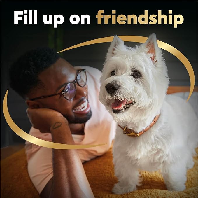 Cesar Filets in Gravy Wet Dog Food Filet Mignon Flavor and Rotisserie Chicken Flavor Variety Pack, 1.76 oz. Mini-Pouches, 20 Pack (Pack of 2) - PAWPICO