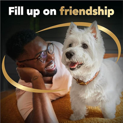 Cesar Filets in Gravy Wet Dog Food Filet Mignon Flavor and Rotisserie Chicken Flavor Variety Pack, 1.76 oz. Mini-Pouches, 20 Pack (Pack of 2) - PAWPICO