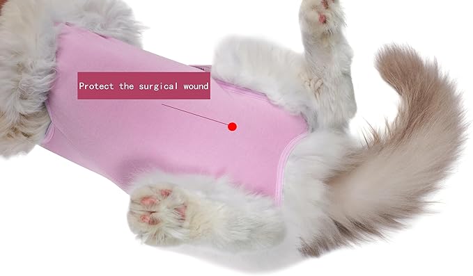 Cat Recovery Suit Female Kitten Cat Onesie for Cats After Surgery Female Spay Surgical Abdominal Wound Skin Diseases Cone Collar Soft Alternative Wear (Pink, S) Acoutpet