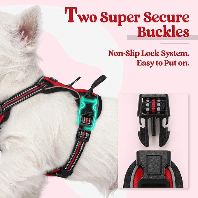 rabbitgoo Dog Harness No Pull with 2 Leash Clips, Adjustable Soft Padded, Reflective Oxford No Choke Pet Vest with Easy Control Handle for Puppy, Red,XS rabbitgoo