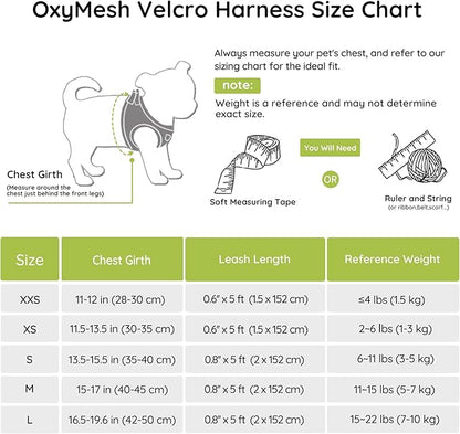 BELLA & PAL Puppy Harness with Leash Set, Dog Harness for Small Dogs No Pull, Dog Leash for Small Dogs, Step in Harness for Extra Small Dogs, Avocado Green Harness, XXS BELLAPAL