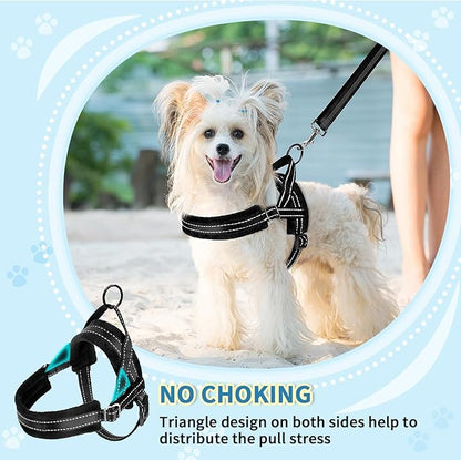 SlowTon No Pull Small Dog Harness and Leash Set, Puppy Soft Vest Harness Neck & Chest Adjustable, Reflective Lightweight Harness & Anti-Twist Pet Lead Combo for Small Medium Dogs (Black, XXS) SlowTon