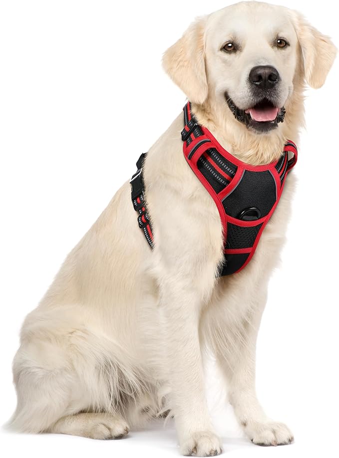 rabbitgoo Dog Harness No Pull with 2 Leash Clips, Adjustable Soft Padded, Reflective Oxford No Choke Pet Vest with Easy Control Handle for Large Dogs, Black & Red, XL rabbitgoo
