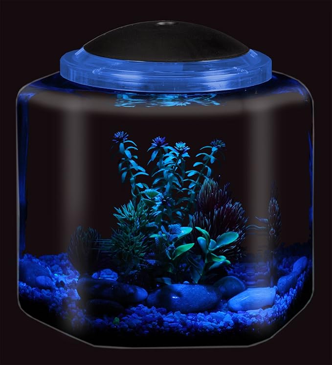 Koller Products 2-Gallon Hex Aquarium Starter Tank - LED Lighting (7 Color Selections), Impact-Resistant Plastic Fish Bowl with Stand for Betta/Nano/Goldfish, Wedding Event & Home Decor DISCOVERTHEEXCITINGWORLDOFKEEPINGTROPICALFISH