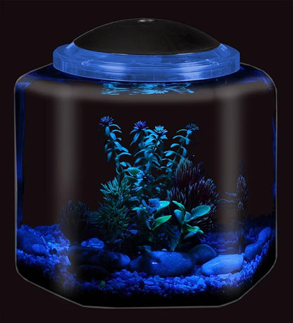 Koller Products 2-Gallon Hex Aquarium Starter Tank - LED Lighting (7 Color Selections), Impact-Resistant Plastic Fish Bowl with Stand for Betta/Nano/Goldfish, Wedding Event & Home Decor DISCOVERTHEEXCITINGWORLDOFKEEPINGTROPICALFISH