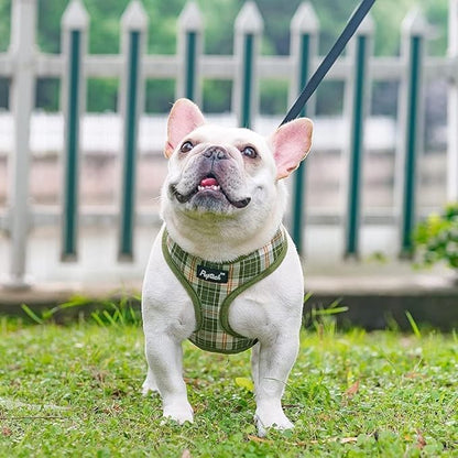 PUPTECK Soft Mesh Dog Harness and Leash Set Pet Puppy Cat Comfort Padded Vest No Pull Harnesses, Olive Green, XS PUPTECK