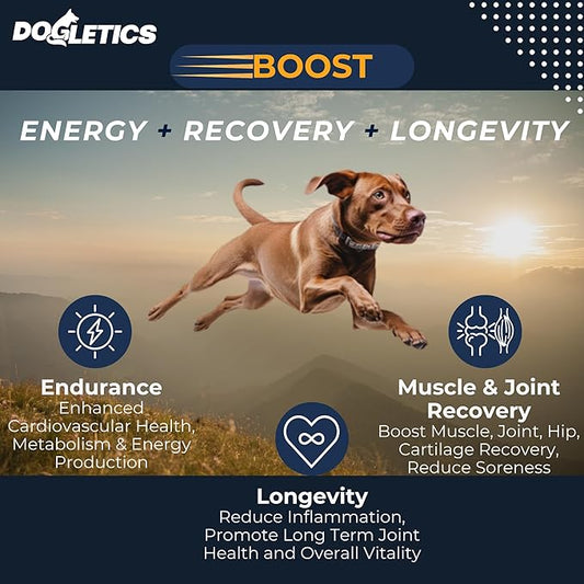 Boost Active Dog Support: Improve Energy, Endurance, Recovery & Longevity- 90ct USA Made with Real Bacon Dogletics