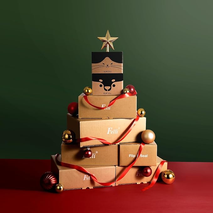 Felli Pet Oblik Whisker Fatigue Cat Bowl Raised Stainless Steel Shallow Dish, Tilted Anti Vomit Non Spill Wide Metal Plate for Puppy Small Dog, Slanted Dry Wet Food Feeder Elevated (0.5Cup, Classic) - PAWPICO