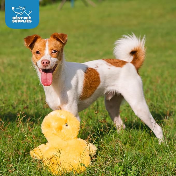 Best Pet Supplies Chicken Crinkle Plush Dog Toys for Interactive Play, Puppy and Senior Indoor Play, Colorful Chicken Toy Shape, Cute and Cuddly - Crinkle Chicken (Yellow) - PAWPICO