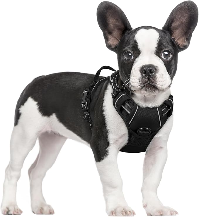 rabbitgoo Dog Harness No Pull with 2 Leash Clips, Adjustable Soft Padded, Reflective Oxford No Choke Pet Vest with Easy Control Handle for Small Dogs, Black, S rabbitgoo