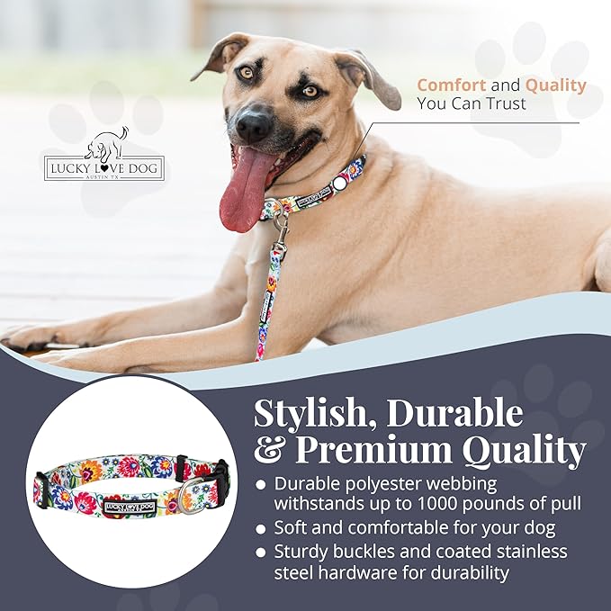 Lucky Love Dog - Adjustable Dog Collar with Easy Click Buckle for Small to Large Dogs, Durable, & Comfortable Collar for Male & Female Dogs, Pet Collar for Puppies & Adult Dogs - Ladybird, Medium LuckyLoveDog