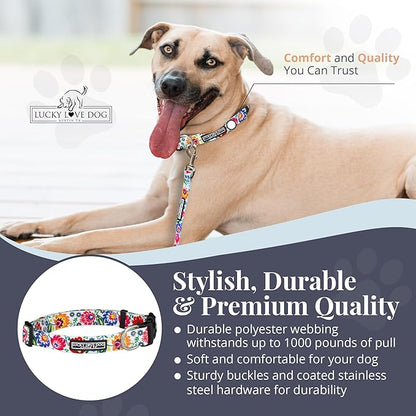 Lucky Love Dog - Adjustable Dog Collar with Easy Click Buckle for Small to Large Dogs, Durable, & Comfortable Collar for Male & Female Dogs, Pet Collar for Puppies & Adult Dogs - Ladybird, Medium LuckyLoveDog