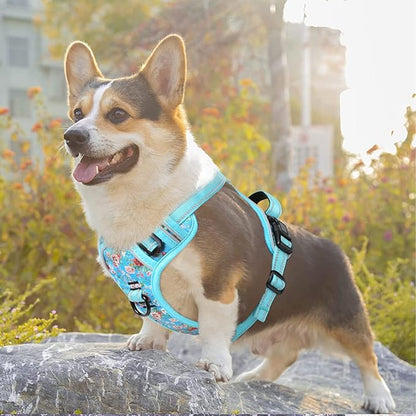 Timos No Pull Dog Harness,NO Need Go Over Dogs Head 3 Snap Buckles Reflective Oxford No Choke Harness with Front&Back 2 Metal Leash Clips Soft Padded for Small Medium Large Dogs,X-Large (Pack of 1) Timos