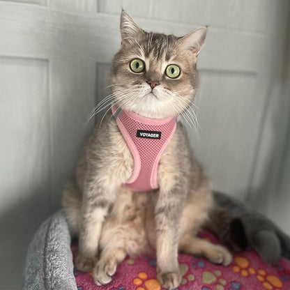 Voyager Step-In Air Dog Harness - All Weather Mesh, Reflective, No Pull Harness for Small, Medium Dogs, Cats - Secure with Hook & Loop Fastener, Buckle, Double D-Rings - Pink, XXS BestPetSuppliesLLC