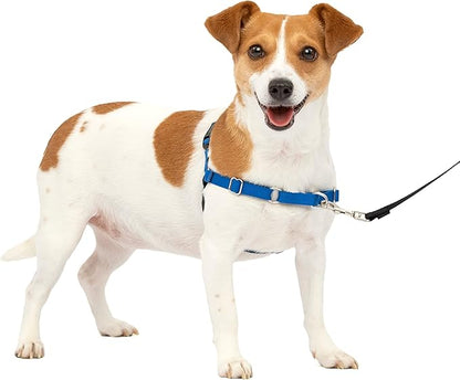 PetSafe Easy Walk No-Pull Dog Harness - The Ultimate Harness to Help Stop Pulling - Take Control & Teach Better Leash Manners - Helps Prevent Pets Pulling on Walks, Small, Royal Blue/Navy Blue PetSafe