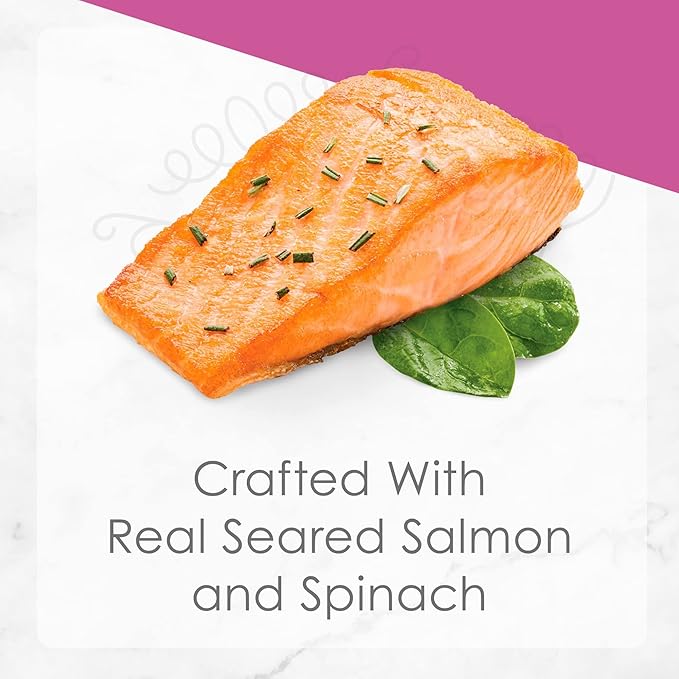 Fancy Feast Gourmet Grain-Free Meals Wet Cat Food Pate and Gravy Petites 10 Twin Pack Trays, 20 Servings (Seared Salmon in Gravy) - PAWPICO