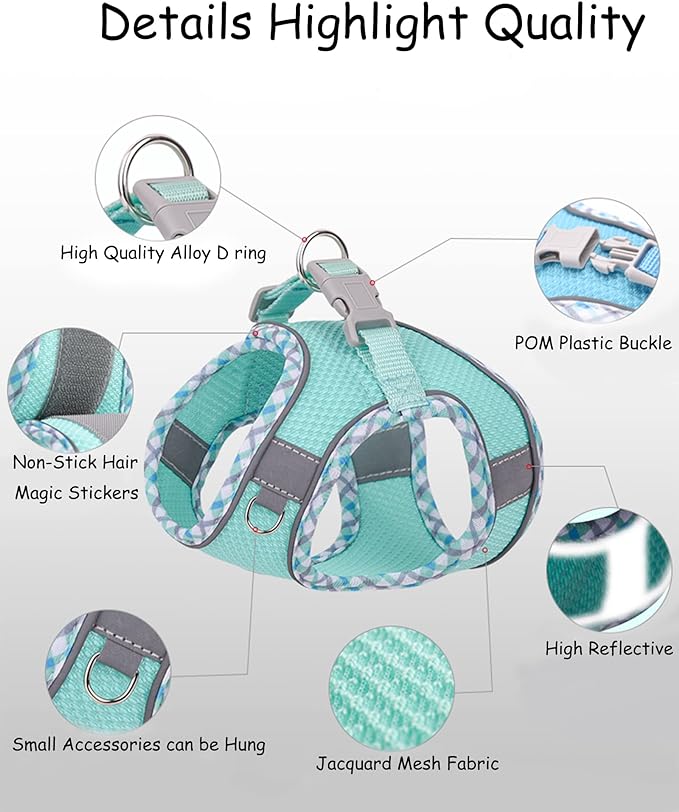 Petank Dog Harness for Small Medium Dogs No Pull, Puppy Harness and Leash Set, Easy Walk Dog Harness for Walking, Running, Training, Small Dog Harness, Medium Dog Harness (Bule, XXS) - PAWPICO