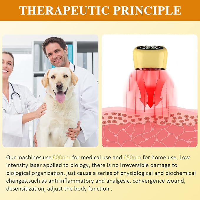KTS Laser Therapy for Dogs,Portable Red Light Vet Device for Dogs Pets Muscle & Hip and Joint Arthritis Pain Relief,Wound Care Clear Skin Problems,Reduce Inflammation KTS